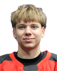 Мурашка Мікіта